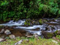 Stromschnellen um Felsgruppen im Rio Gorrion